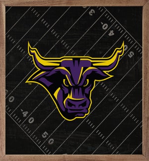 Black Football Field Minnesota State University Mankato